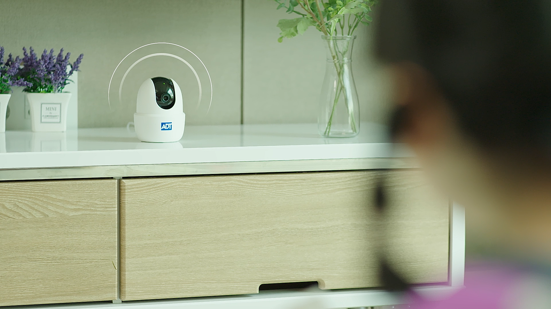 현관 CCTV, 택배 분실, 가정용 홈캠, 아파트 택배 도난, 캡스홈