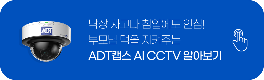 낙상 사고, 화재 사고, 시골집 CCTV, 독거노인 CCTV, 가정용 CCTV 설치